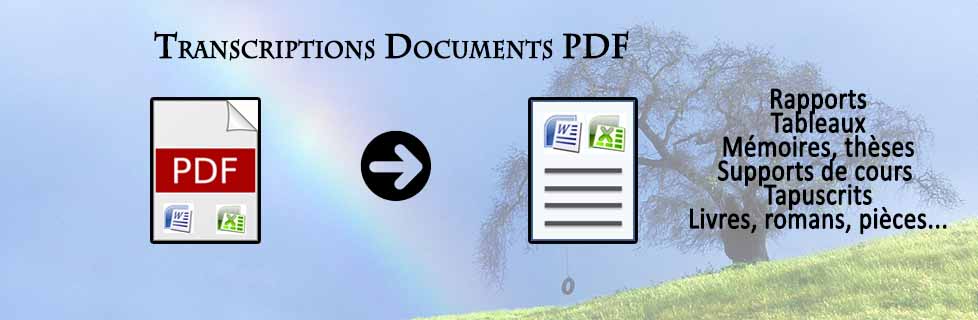 Transcription de documents PDF : Rapports, tableaux, mémoires, thèses, supports de cours, tapuscrits, romans, organigrammes, arbres généalogiques...